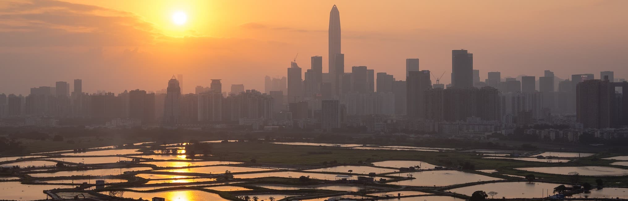 Skyline de Shenzhen vu depuis les zones humides de Hong Kong, gratte-ciels modernes au-dessus de la vegetation