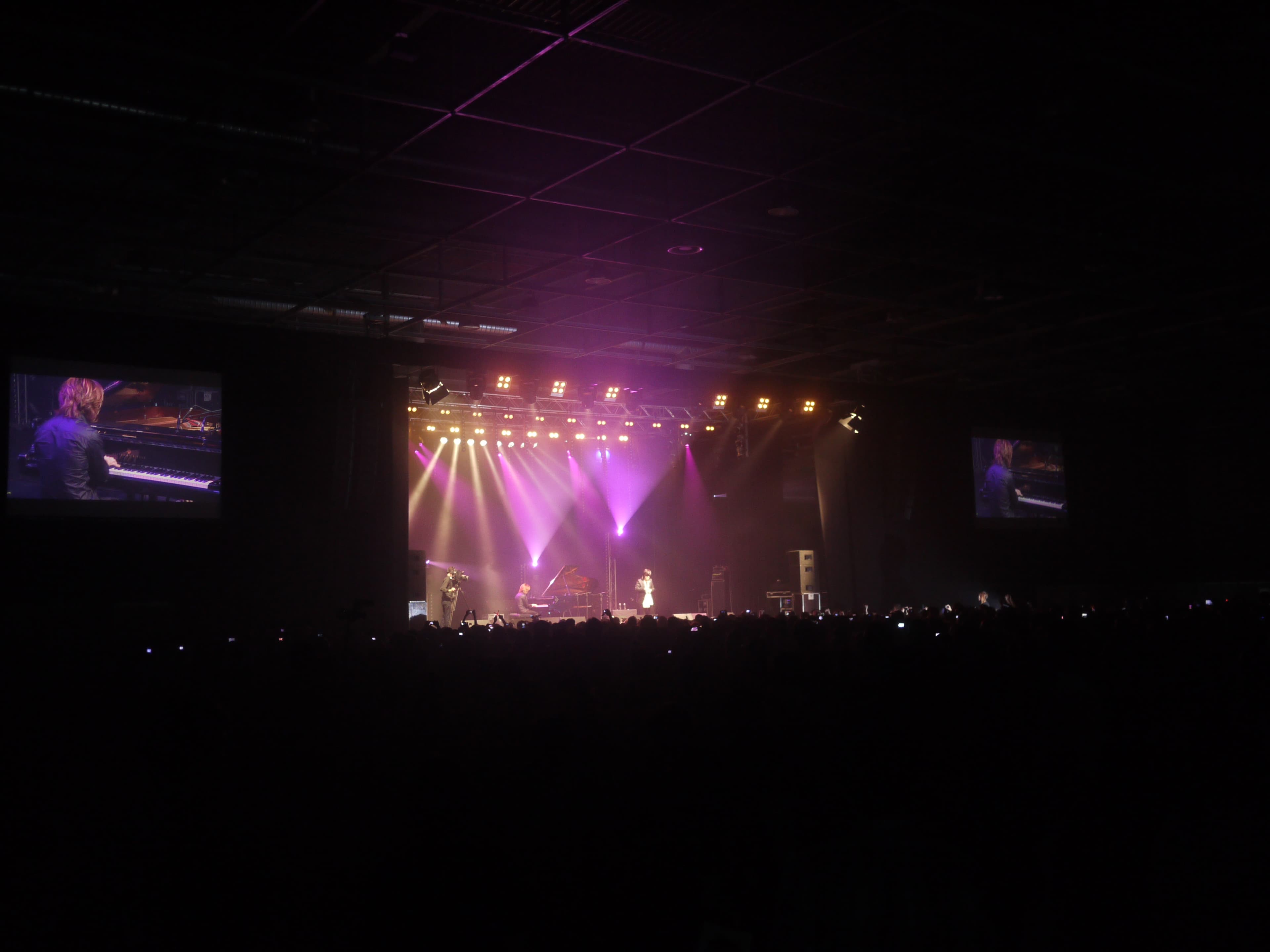 Yoshiki et Toshi de X Japan en concert, figures fondatrices du visual kei.
